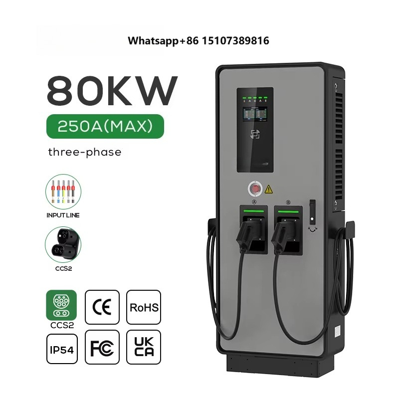 Ev Charging Pile - Cargador de CC dual para vehículos